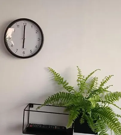 Ruzica 2 Apartman